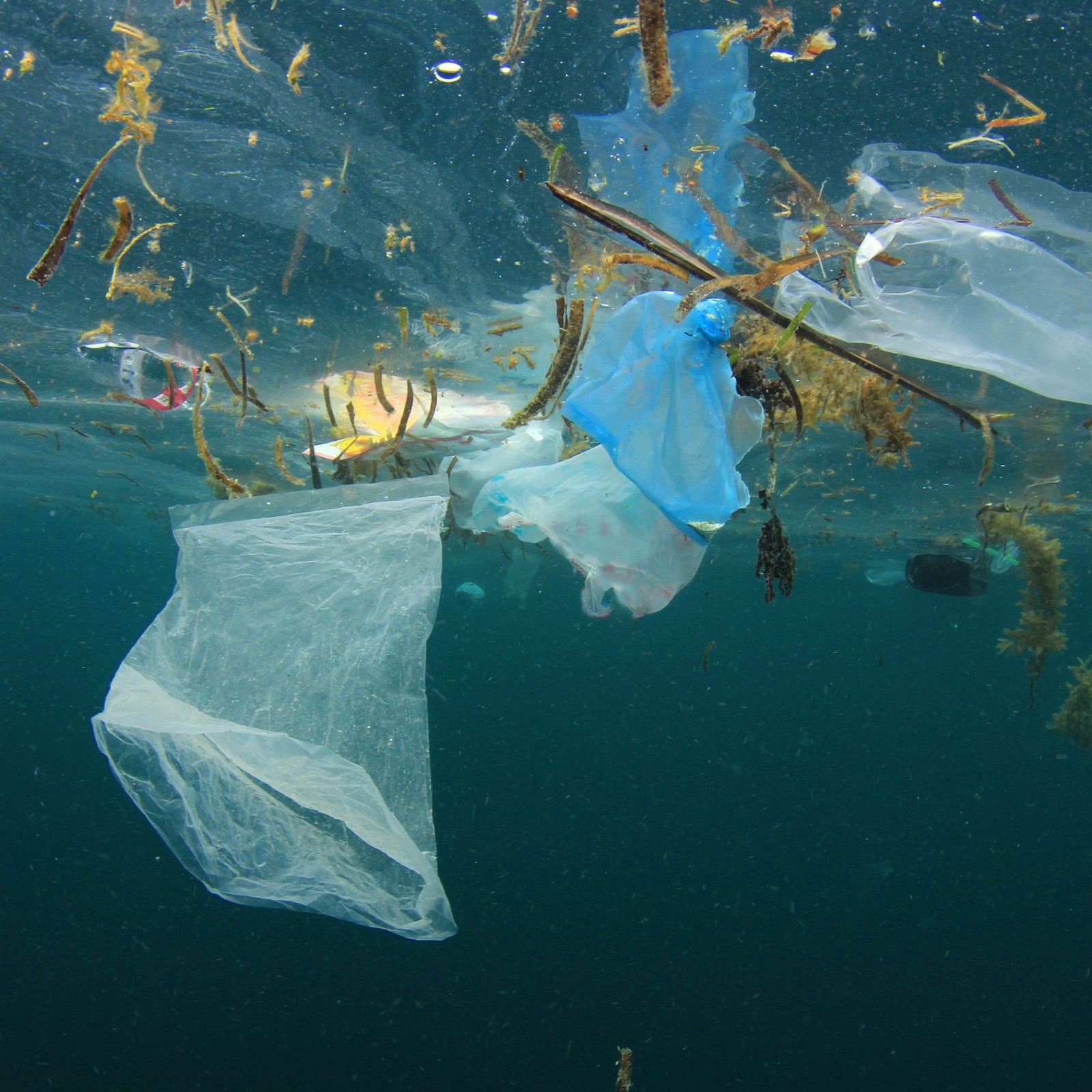 Życie bez plastiku. Dlaczego plastik jest szkodliwy i lepiej pić ze szkła?